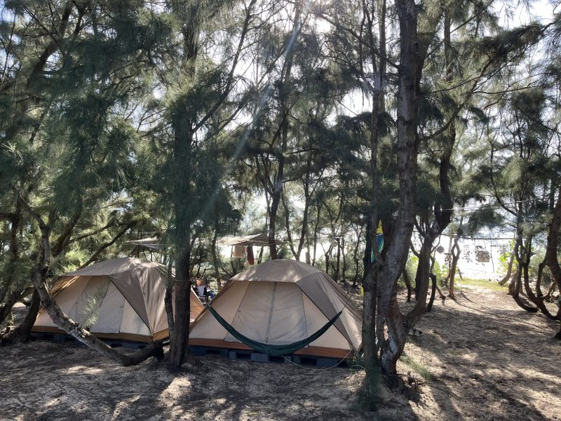 Cắm trại dưới rừng dương ven biển Hồ Cốc.